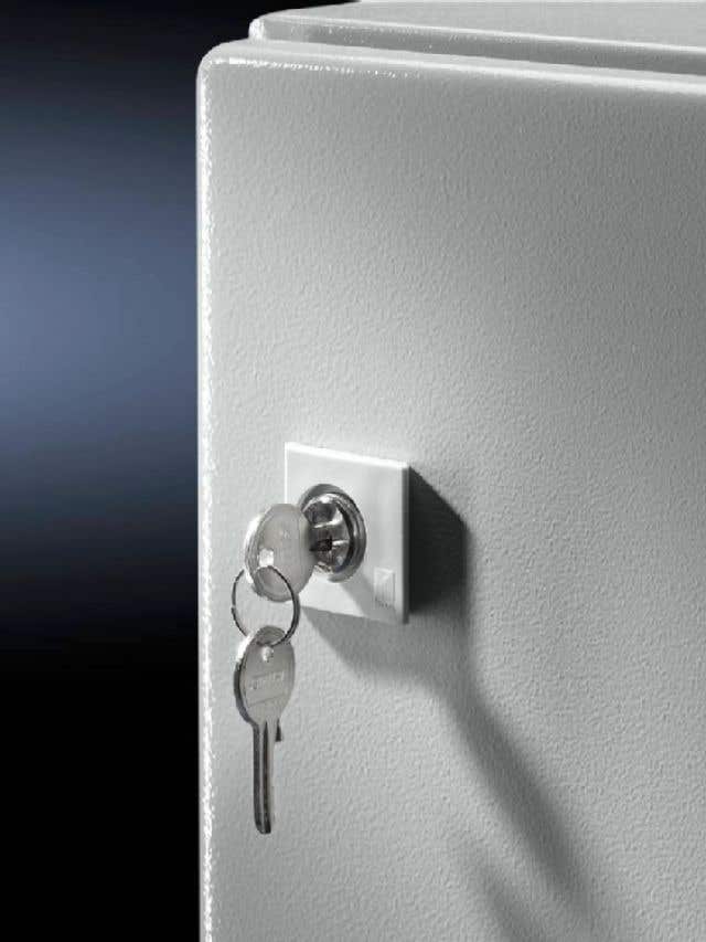 Lock cylinder inserts 