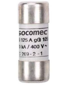FUS GG 14X51 2A AVEC PERC     