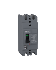Circuit breaker Easypact EZC100H - TMD - 100 A - 2 poles 2d