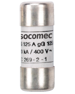 FUS GG 10X38 20A SANS PERC    