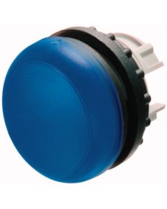 Indicator light, flush, blue