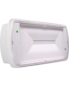 Emergency Luminaire Surface Mount